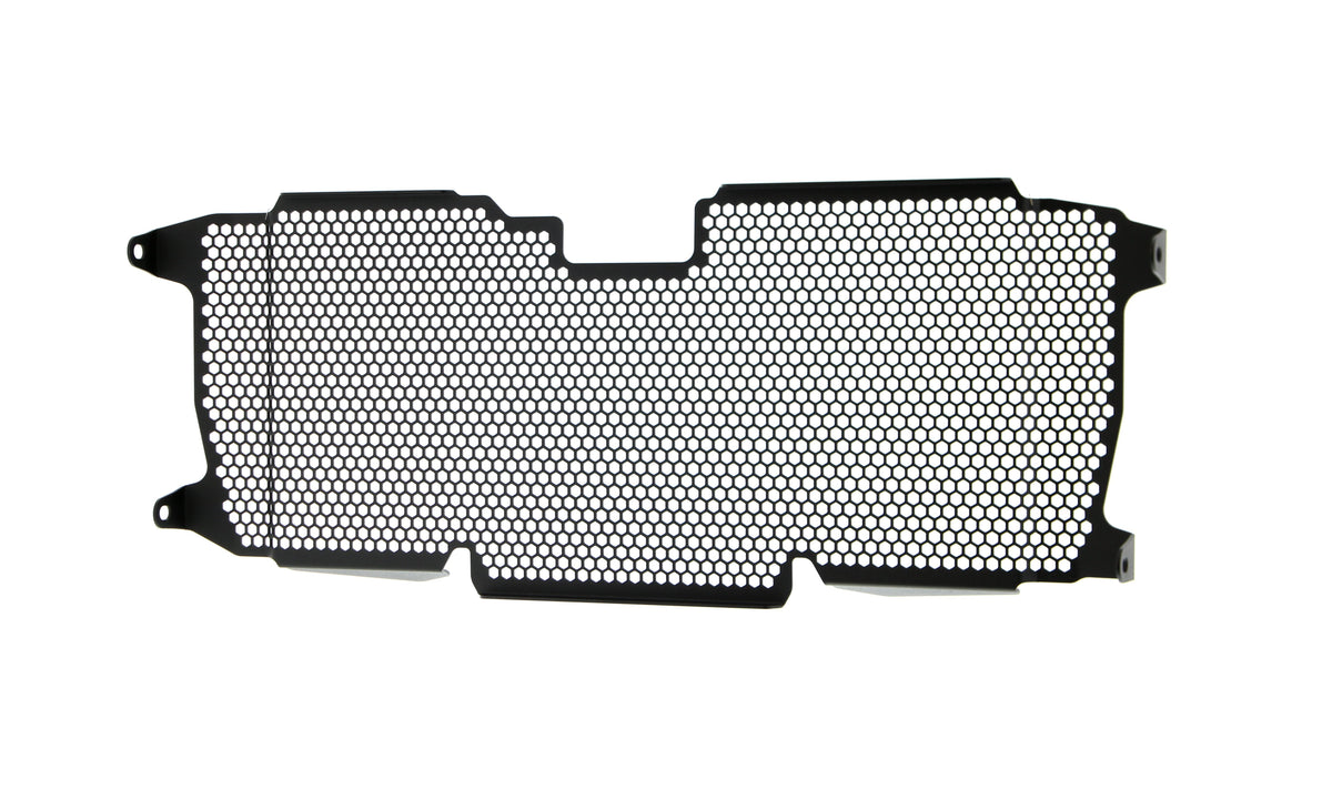 Evotech BMW R 1250 R Exclusive Radiator Guard 2019+ - 14