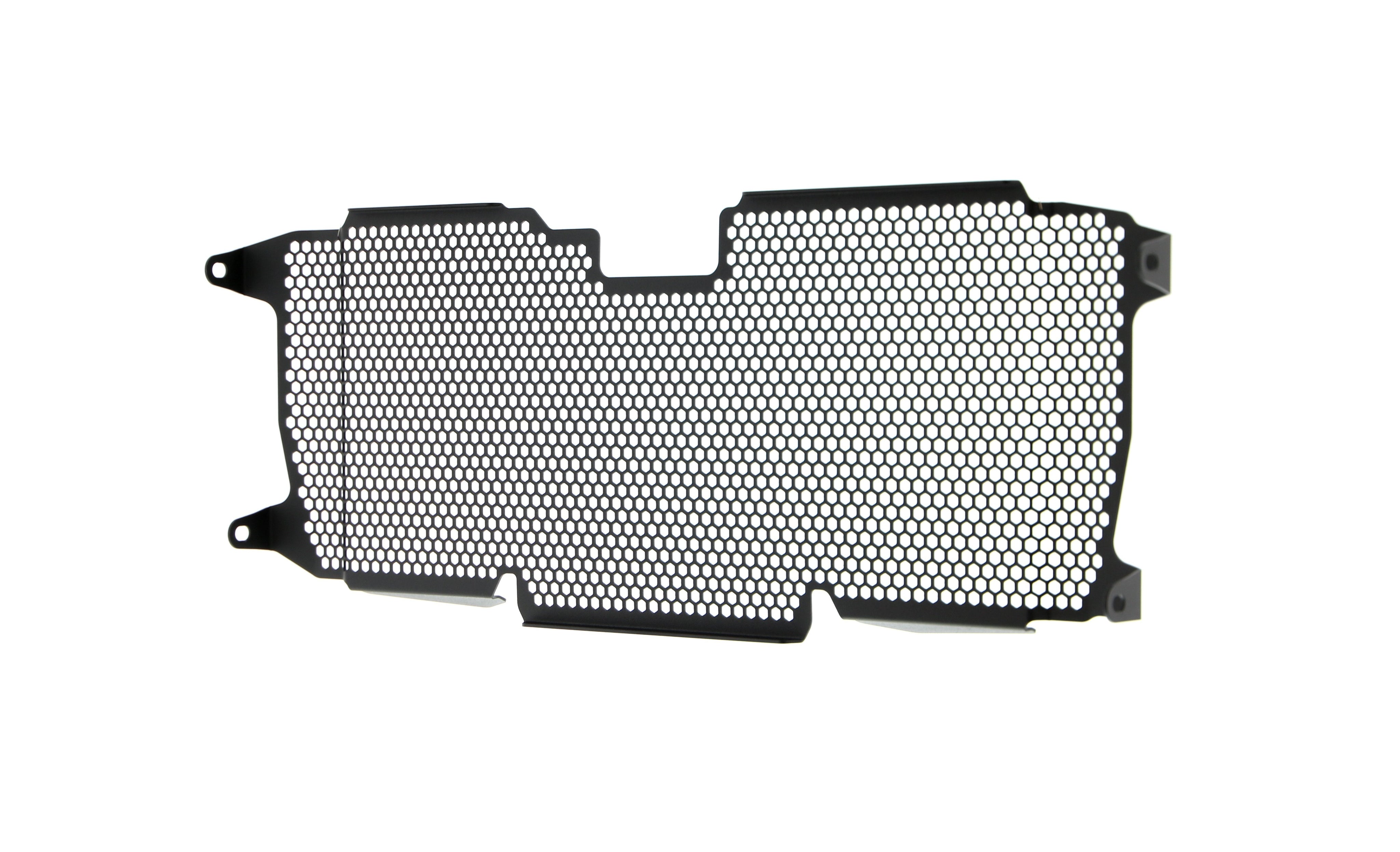 Evotech BMW R 1250 R Exclusive Radiator Guard 2019+ - 15