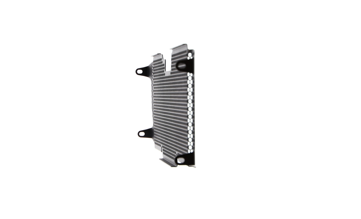 Evotech BMW R 1200 RS Radiator Guard 2015 - 2018 - 18