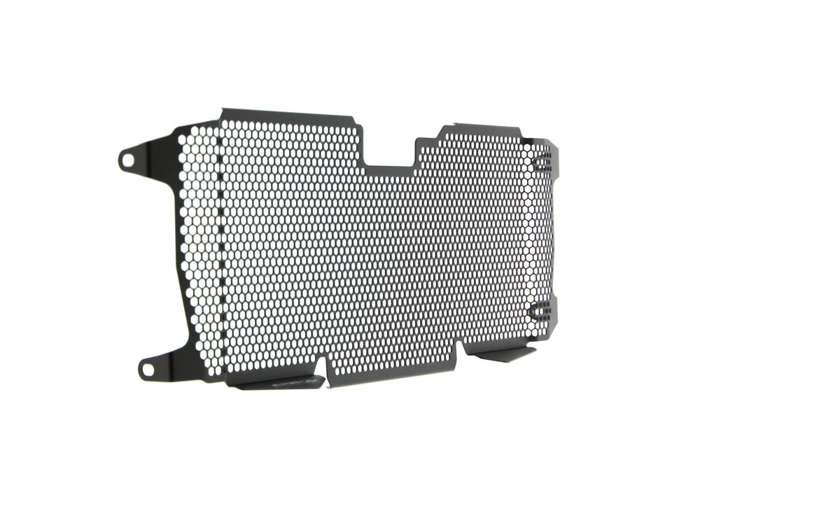 Evotech BMW R 1250 R Radiator Guard (2019+) - 21