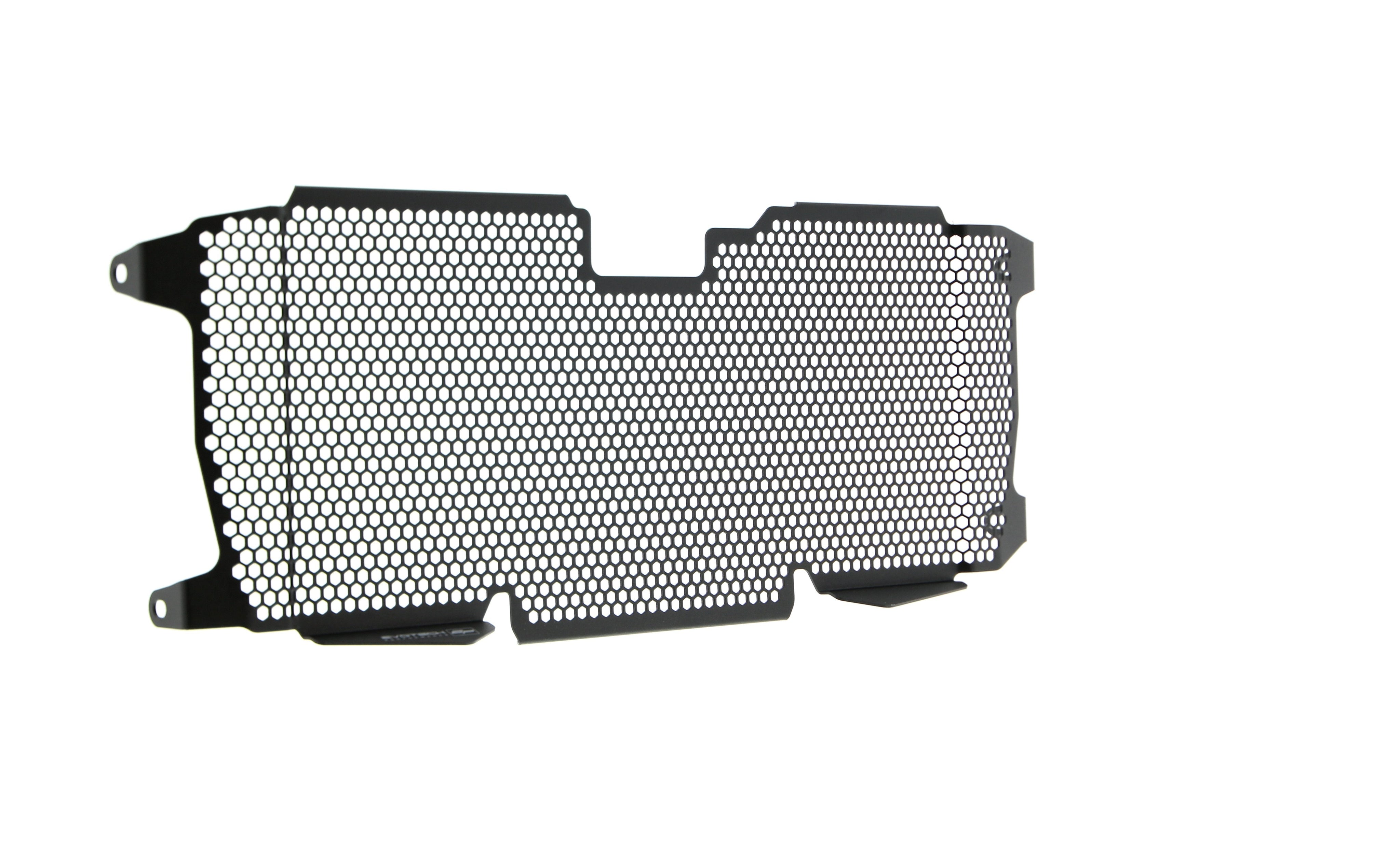 Evotech BMW R 1250 R Exclusive Radiator Guard 2019+ - 22