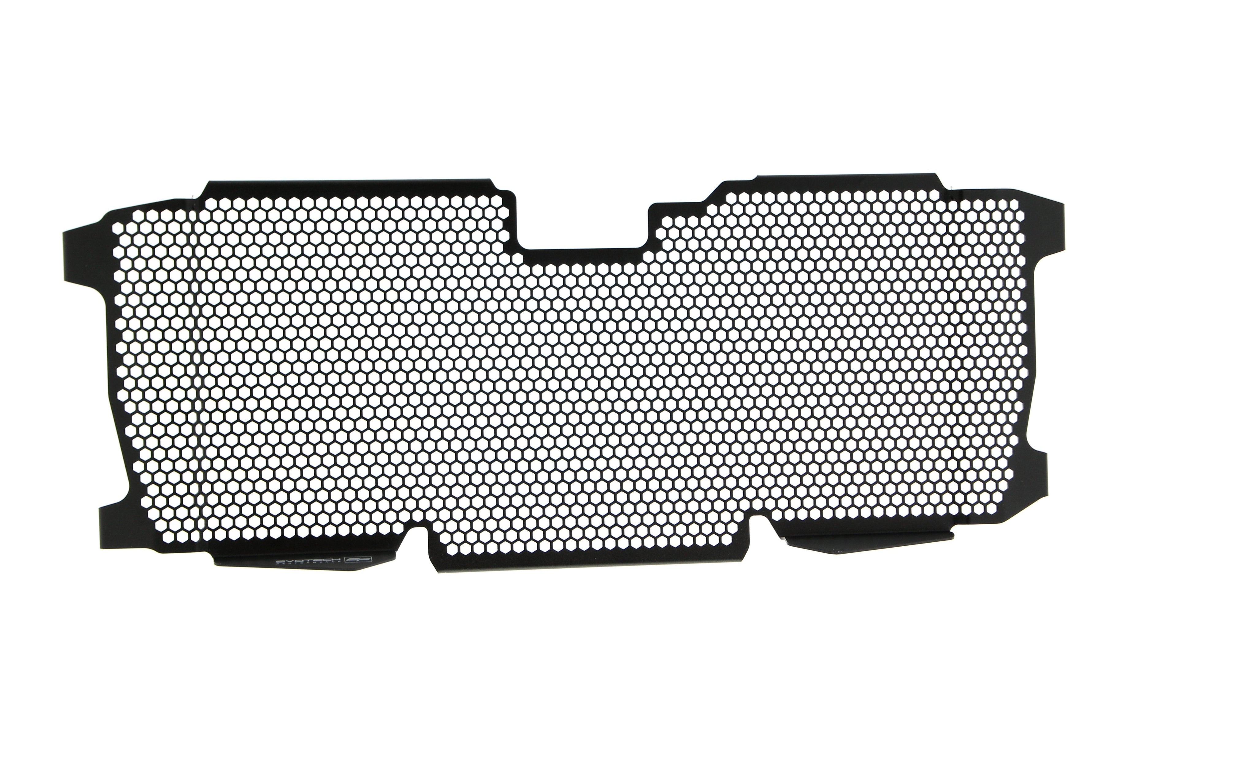 Evotech BMW R 1250 R Exclusive Radiator Guard 2019+ - 24