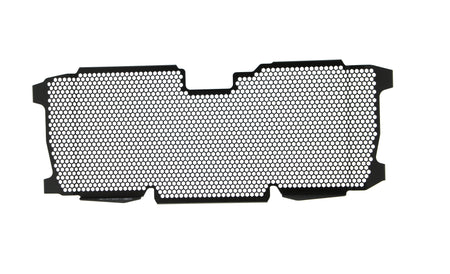 Evotech BMW R 1250 R Radiator Guard (2019+) - 25