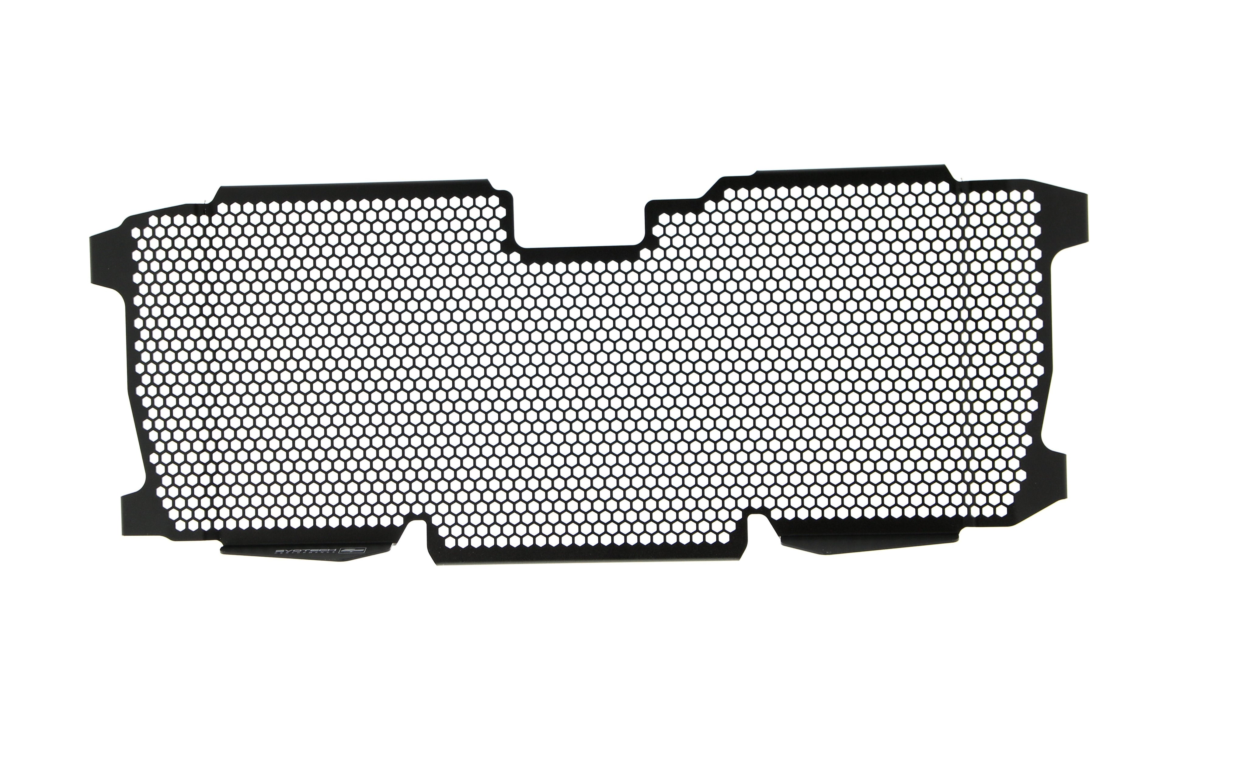 Evotech BMW R 1250 R Exclusive Radiator Guard 2019+ - 25