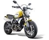 EP Ducati Scrambler 1100 Urban Motard Oil Cooler Guard (2022)